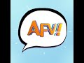 AFV Funniest Cat Videos
