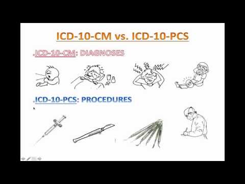 ICD 10 for kindergarten   Lesson 1