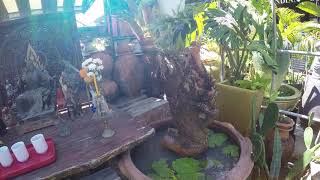 THAILAND UNFILTERED 45...  SECOND HAND SHOP WITH UNIQUE ARTWORKS. VIDEO SHOOTING NOT ALLOWED.