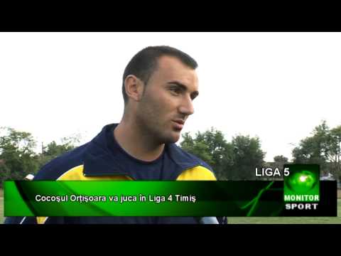 Cocoşul Orţişoara va juca în Liga 4 Timiş