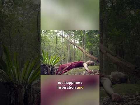 Nature's Calm: Serenity for a Joyful, Sustainable Life