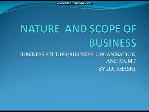 business plan nature and scope