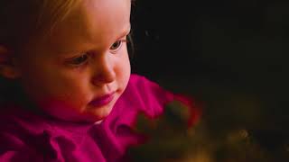 Reflection for the Second Week of Advent (2018)