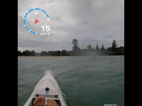 Fun glide! #surfski #kayaking #paddler #newzealand