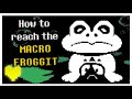 How To Reach Macro Froggit + Fight Showcase (Undertale Yellow)