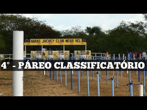 4° - PÁREO CLASSIFICATÓRIO, GP HARAS NEGO VEL - 2022
