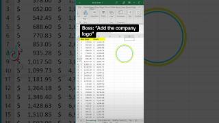 Formatting. Formatting shortcuts to know to make your spreadsheet presentable and easy to read. Additionally, learn how to add a logo to really look nice. Go over navigating to select, borders, size adjustment, freezing rows, bold, fill color, change to currency, and alignment. - Excel Xpert tutorial video