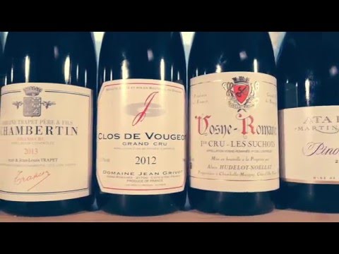 Veckans Klonk 11 - Pinot Noir USA vs Nya Zeeland