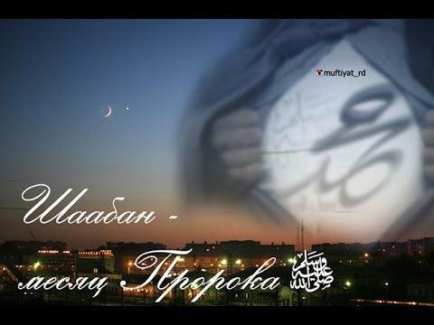 Месяц Шаабан и оскорбление Пророка ﷺ некоторыми мусульманами