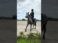 Ponette D 7 ans polyvalente