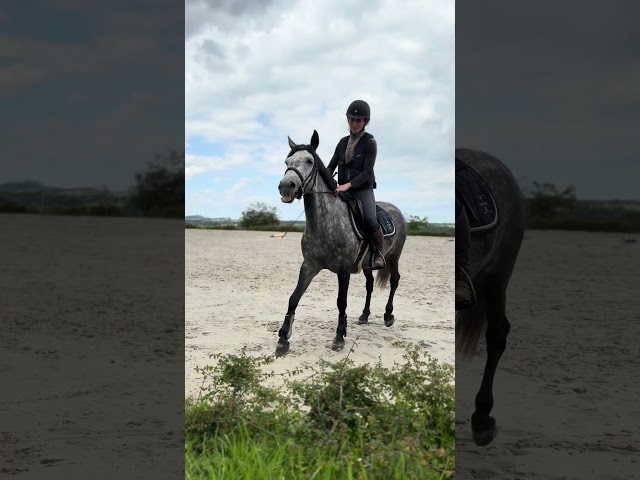 Ponette D 7 ans polyvalente