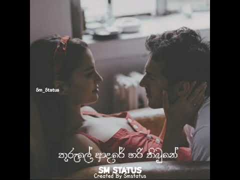 ( සුදු මුහුනේ හිනාව පුරවන් ) - Whatsapp lyrics and status video #Shorts