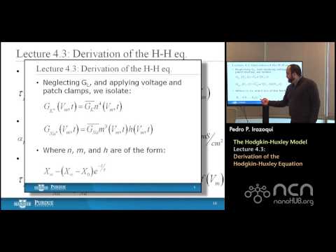 nanoHUB-U Bioelectricity L4.3: Hodgkin-Huxley Model - Derivation of the Hodgkin-Huxley Equation