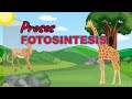 PHOTOSYNTHESIS PROCESS