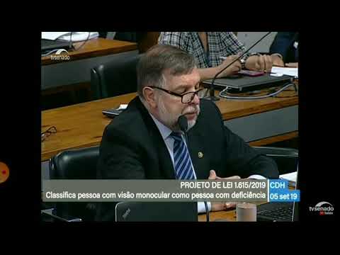 VISÃO MONOCULAR - LEITURA DO RELATOR SENADOR FLÁVIO ARNS SOBRE O PL 1615/2019 - LEI AMÁLIA BARROS