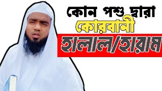 কোন কোন পশু দ্বারা কোরবানী সঠিক হবে কি হবে না? কোরবানীর আলোচনা
