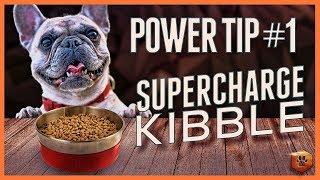 How to Supercharge Food Rewards - Use Empowered Kibble to Train in Power Tip #1!