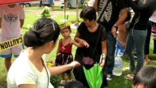 undas 2008