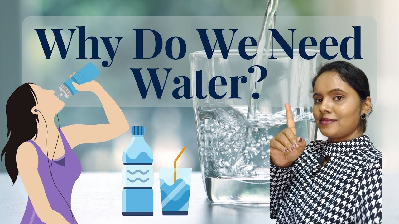 Watch video Water-An Important Nutrient | What Would Happen if You Didn’t Drink Water | Importance of Water Now Water-An Important Nutrient | What Would Happen if You Didn’t Drink Water | Importance of Water