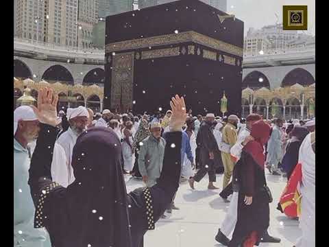 Ik Bikhari Hai khara Ap Ke Darbar Ke Pass By Owais Raza Qadri|Heart Touching Naat|AA Media Official