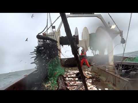 Hauling back the gear on scallop boat F/V Seafarer