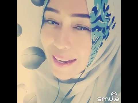 Setangkai anggrek bulan