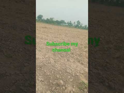 #hashtags #villagelife #beautiful #very #funny #so hashtag