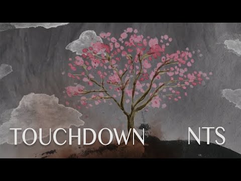TOUCHDOWN / NEVER THE STRANGERS