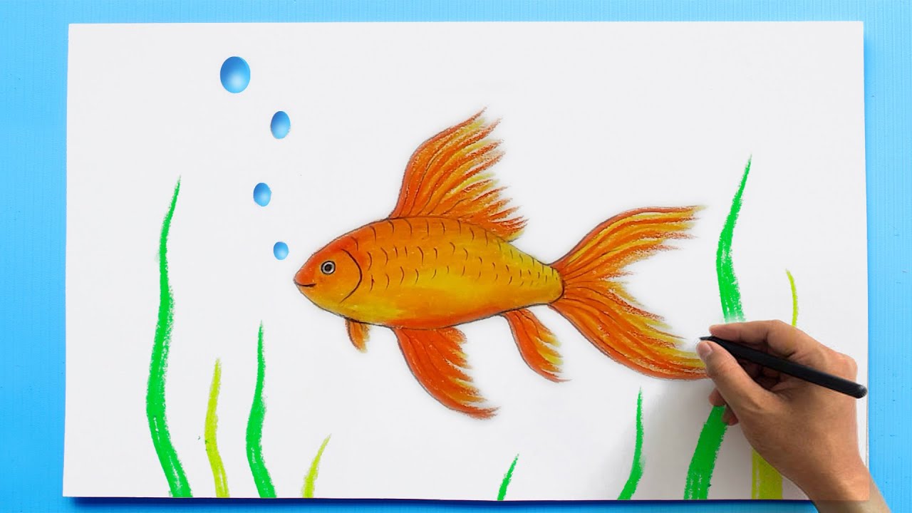 Gold Fish Drawing 🐠