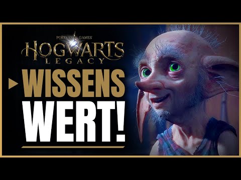 Geniale Tipps & Tricks zum Raum der Wünsche in Hogwarts Legacy die du wissen musst!