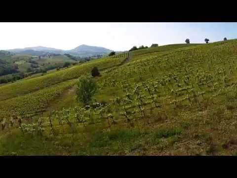 Oltrepò pavese visto dal drone