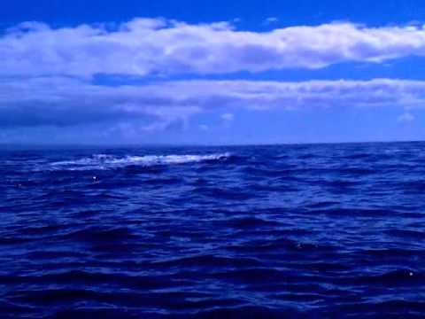 January 28, 2011 1:28 PM