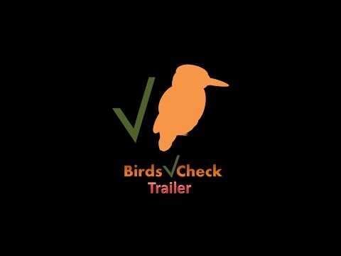 Birds Check Video