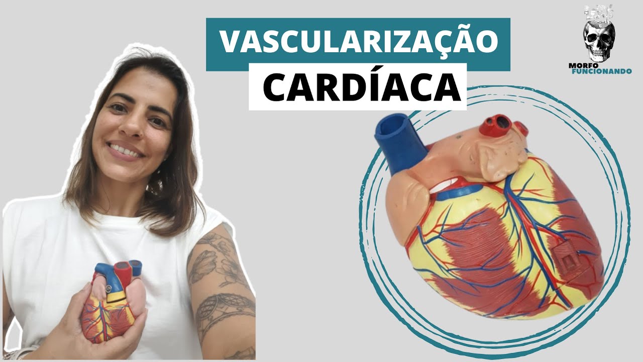 VASCULARIZAÇÃO DO CORAÇÃO (ARTÉRIAS CORONÁRIAS E VEIAS CARDÍACAS) #3