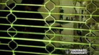 Allele &quot;Closer To Habit&quot; (Low Bandwidth)