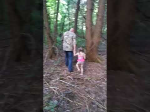 Going on a walk in the woods in pennsylvania