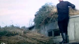 preview picture of video 'REED THATCHING circa 1948'