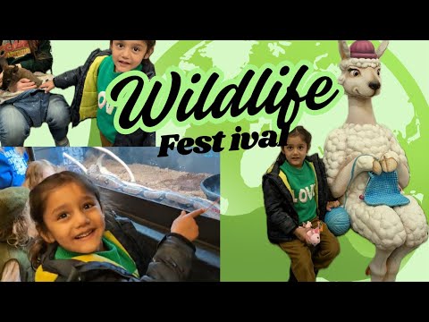 Amaira animals dekhne gayi|Wildlife Festival #Azah Shahnawaz