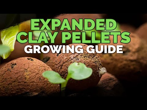 , title : 'Expanded Clay Pellets (Hydroton) Growing Guide'