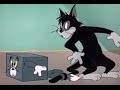 Tom And Jerry Casanova Cat