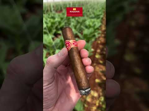 🔥 Cigar Cuba – Biểu tượng tinh hoa của quốc đảo Caribe