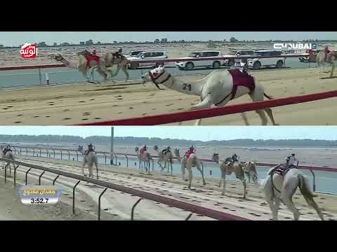  ش 2 (شاهين) لـ هجن العاصفة 7:35:1 ، تأهيلي المرموم 2026/03/04 لقايا