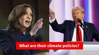 Here’s what we know about Trump & Harris’ stances on climate | Project 2025, policies, and more