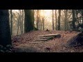 Caravan Of Life // Tokyo Square - Lyrics HD ...
