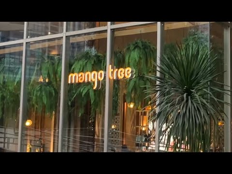 MANGOTREE - COZINHA TAILANDESA - EXPERIÊNCIA DE JANTAR FINE NO BGC - MANGO TREE