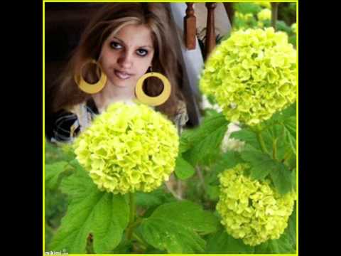 DAGO  happy birthday