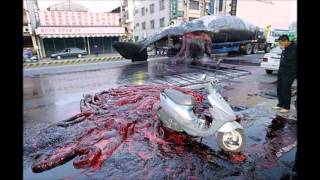 R. Stevie Moore ~ Came Twice  (2008)