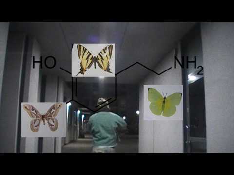 Graham Lake - open your eyes (visualizer)