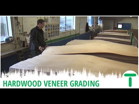 Hardwood Plywood Series: Hardwood Veneer Grading