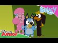 Adventures In Shadowlands Bluey Disney Junior Arabia